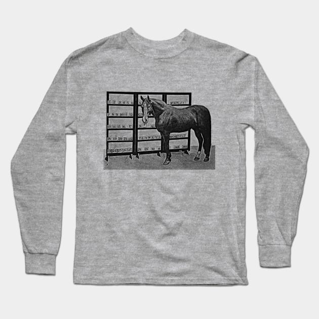 Beautiful Jim Key / Performing Horse Long Sleeve T-Shirt by CultOfRomance